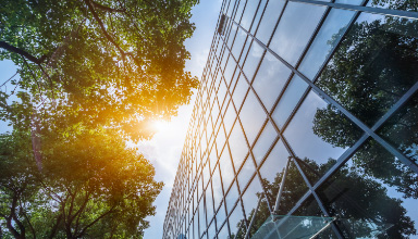 Radical Transparency